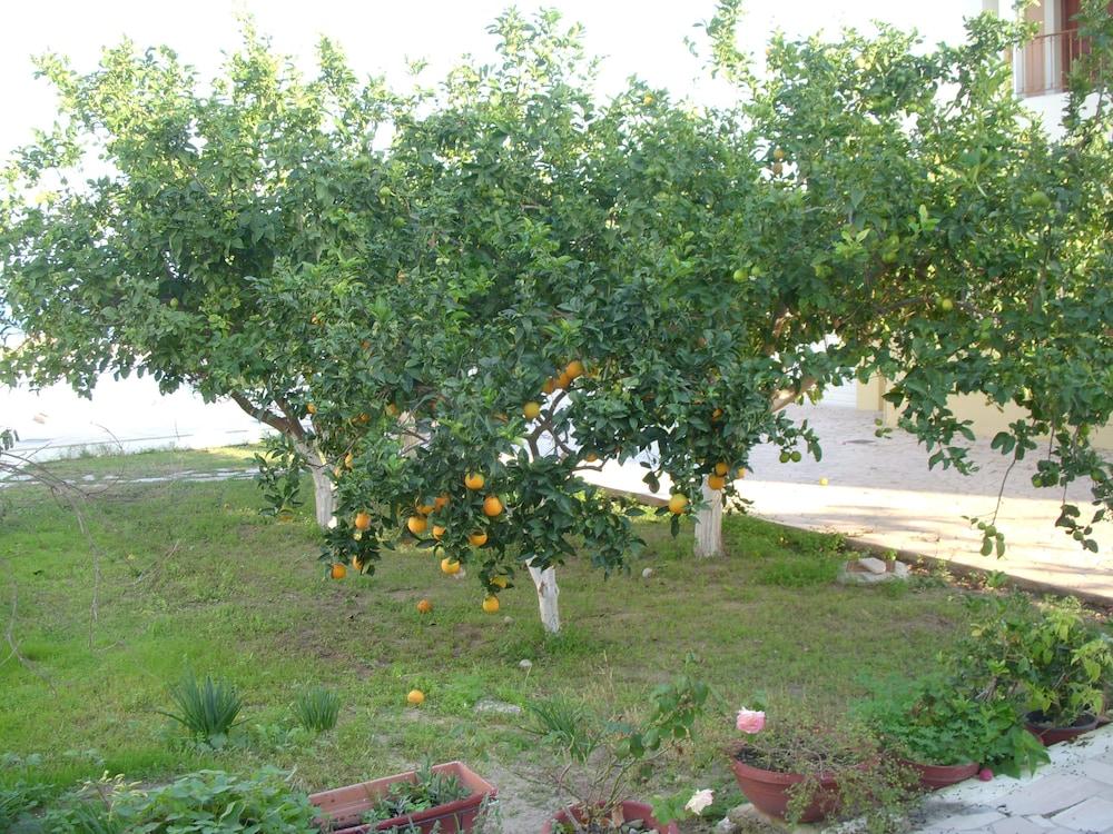 Likourgos Beach Kávos المظهر الخارجي الصورة